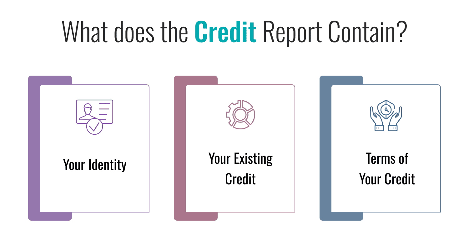 What does the Credit Report Contain?